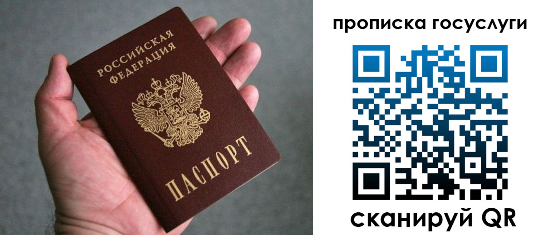 прописка 2025 в Называевске